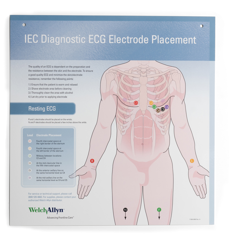 Electrocardiograph Wall Chart Product Image