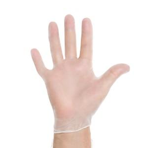 Synthetic Vinyl Exam Gloves  Product Image