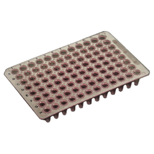 Low Profile AMPLATE™ 96 Thin Wall PCR Plates Product Image