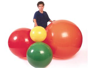 PhysioGymnic™ Inflatable Exercise Ball Product Image