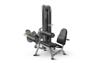 Varsity Seated Leg/Curl Extension Combo Product Image